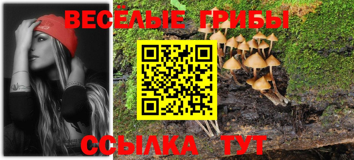 Нарткала  Псилоцибиновые грибы GOLDEN TEACHER  Вход с VPN 